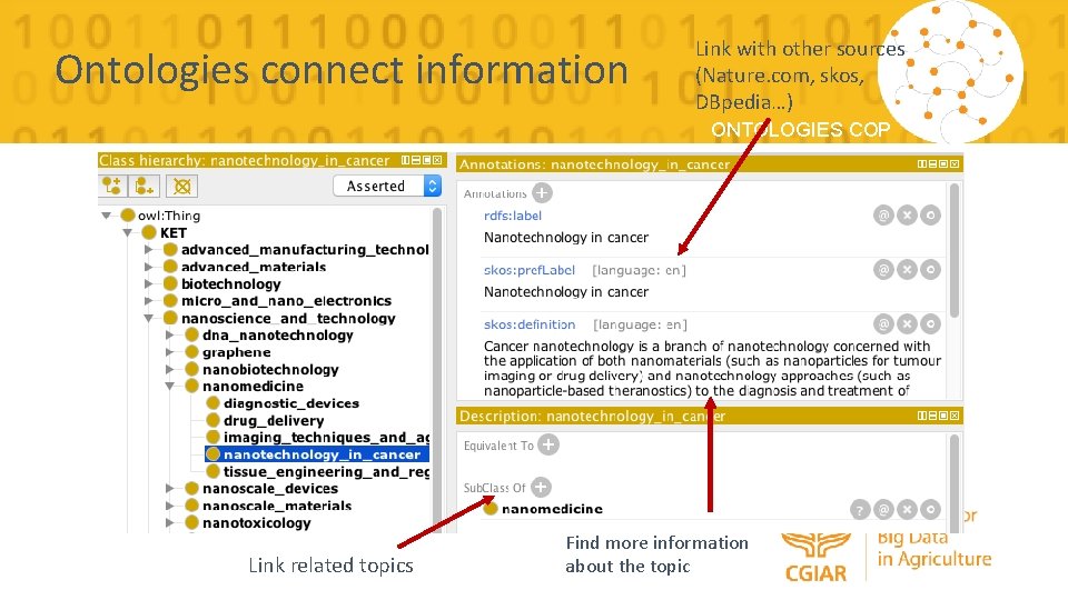 Ontologies connect information Link with other sources (Nature. com, skos, DBpedia…) ONTOLOGIES COP Link