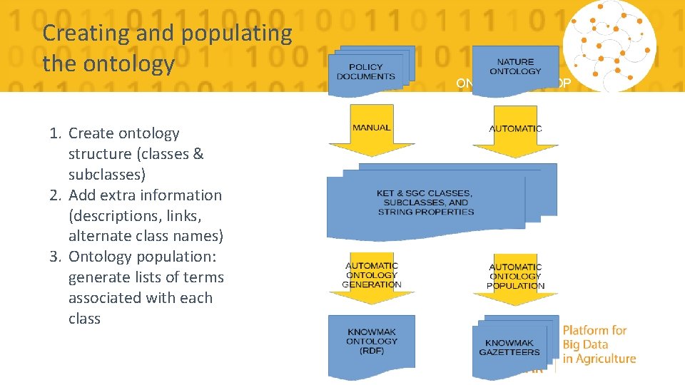 Creating and populating the ontology 1. Create ontology structure (classes & subclasses) 2. Add