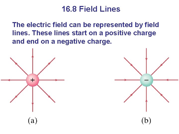 16. 8 Field Lines The electric field can be represented by field lines. These