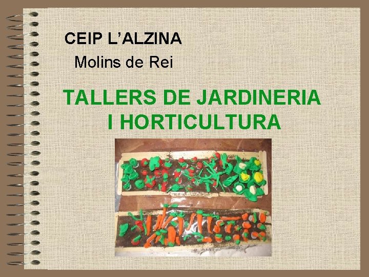 CEIP L’ALZINA Molins de Rei TALLERS DE JARDINERIA I HORTICULTURA 