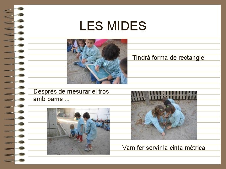 LES MIDES Tindrà forma de rectangle Després de mesurar el tros amb pams. .