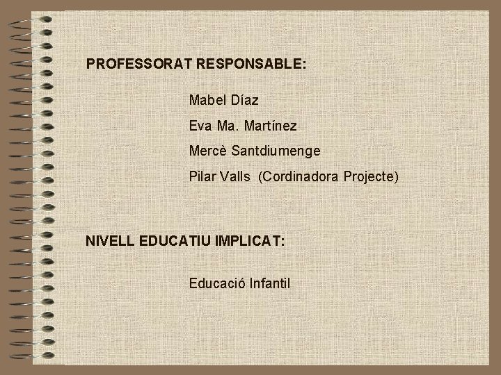 PROFESSORAT RESPONSABLE: Mabel Díaz Eva Ma. Martínez Mercè Santdiumenge Pilar Valls (Cordinadora Projecte) NIVELL