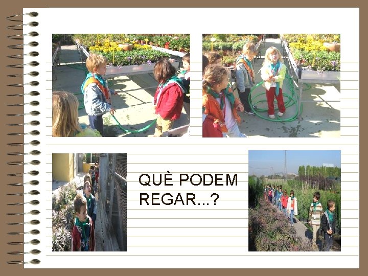 QUÈ PODEM REGAR. . . ? 