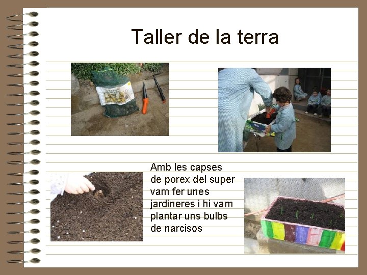 Taller de la terra Amb les capses de porex del super vam fer unes