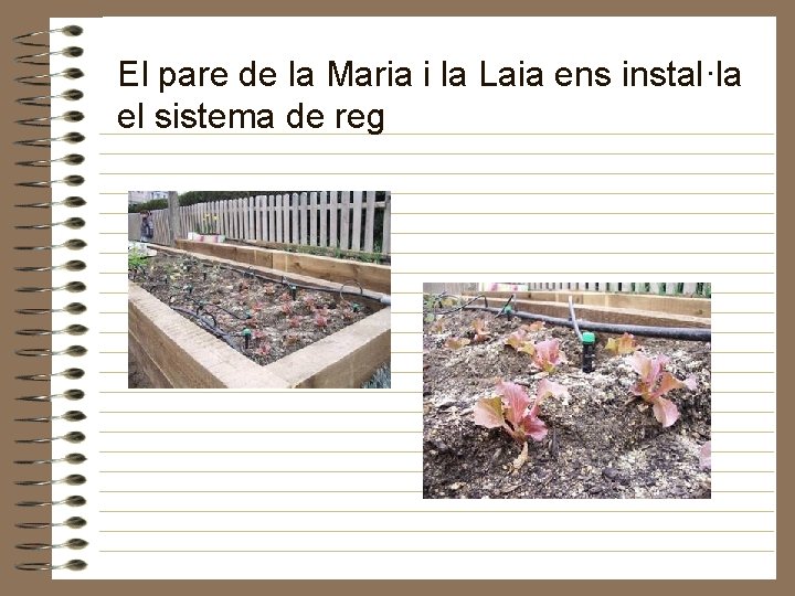 El pare de la Maria i la Laia ens instal·la el sistema de reg