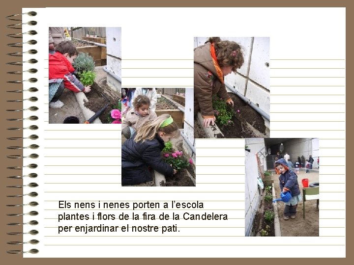 Els nens i nenes porten a l’escola plantes i flors de la fira de