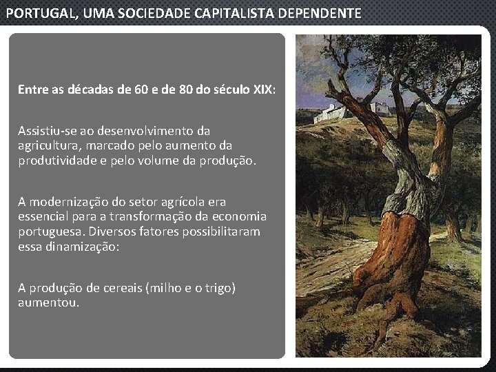 PORTUGAL, UMA SOCIEDADE CAPITALISTA DEPENDENTE Entre as décadas de 60 e de 80 do