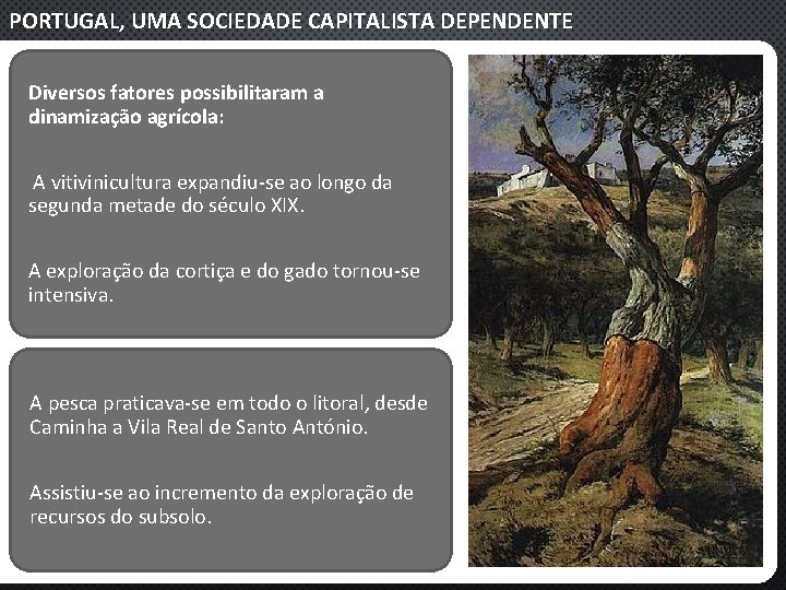 PORTUGAL, UMA SOCIEDADE CAPITALISTA DEPENDENTE Diversos fatores possibilitaram a dinamização agrícola: A vitivinicultura expandiu‐se