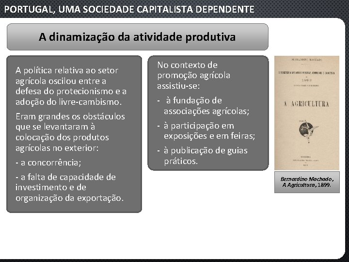 PORTUGAL, UMA SOCIEDADE CAPITALISTA DEPENDENTE A dinamização da atividade produtiva A política relativa ao