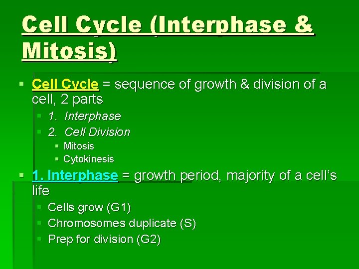 Cell Cycle (Interphase & Mitosis) § Cell Cycle = sequence of growth & division