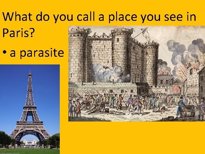 What do you call a place you see in Paris? • a parasite 
