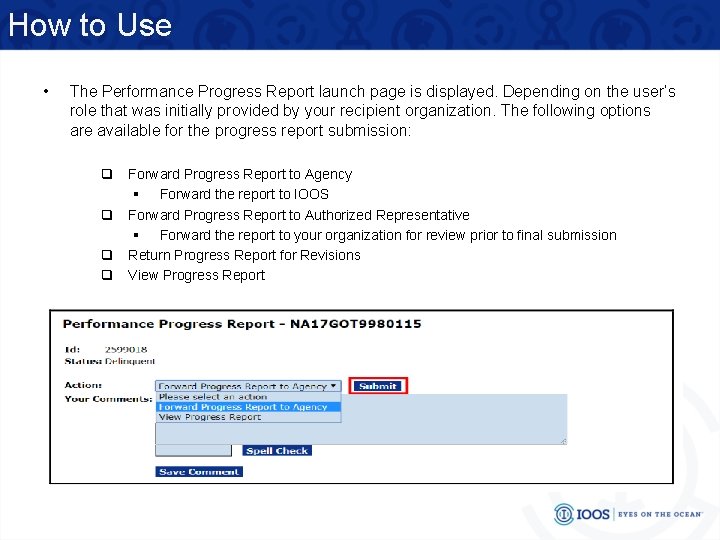 How to Use • The Performance Progress Report launch page is displayed. Depending on