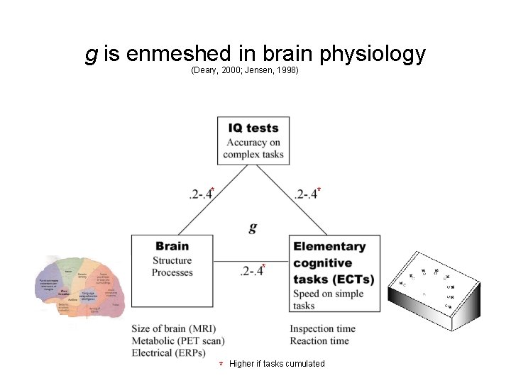 g is enmeshed in brain physiology (Deary, 2000; Jensen, 1998) * * Higher if