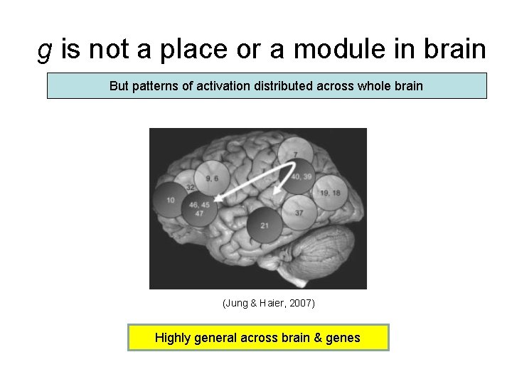 g is not a place or a module in brain But patterns of activation