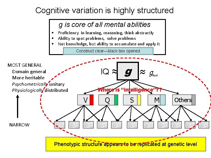 Cognitive variation is highly structured g is core of all mental abilities • Proficiency
