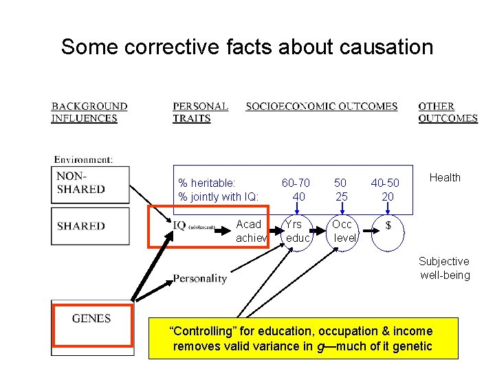 Some corrective facts about causation % heritable: % jointly with IQ: Acad achiev 60