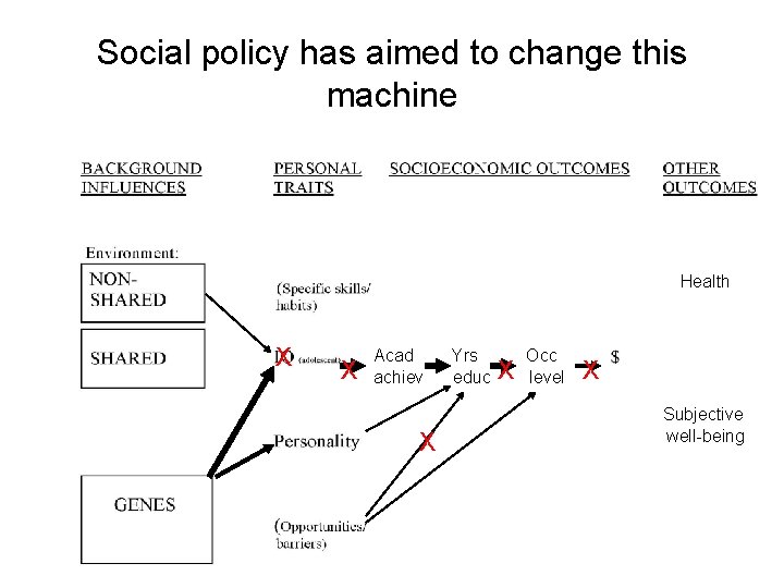 Social policy has aimed to change this machine Health X X Acad achiev X