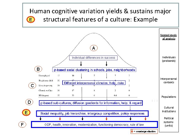Human cognitive variation yields & sustains major E structural features of a culture: Example