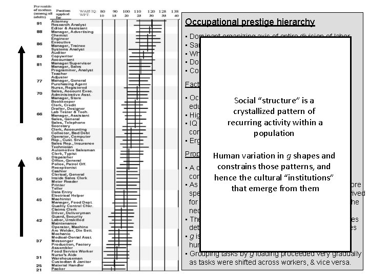 Occupational prestige hierarchy • Dominant organizing axis of entire division of labor • Same