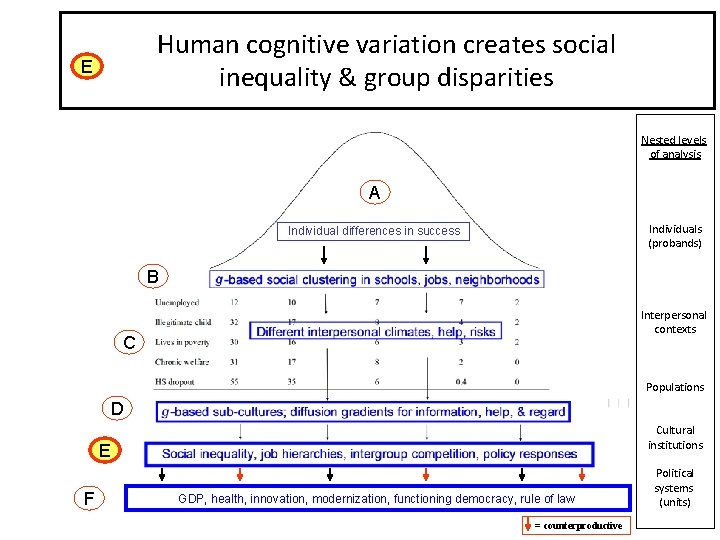 Human cognitive variation creates social inequality & group disparities E of Human Dispersion in