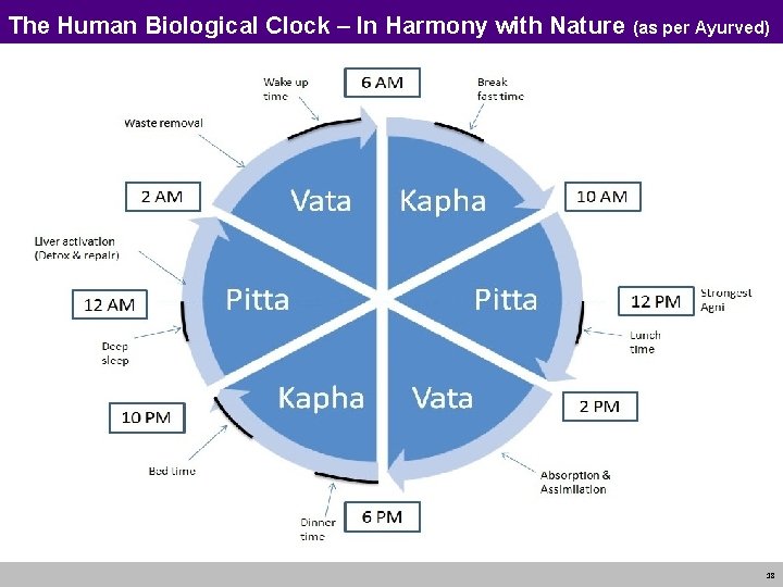 The Human Biological Clock – In Harmony with Nature (as per Ayurved) 18 