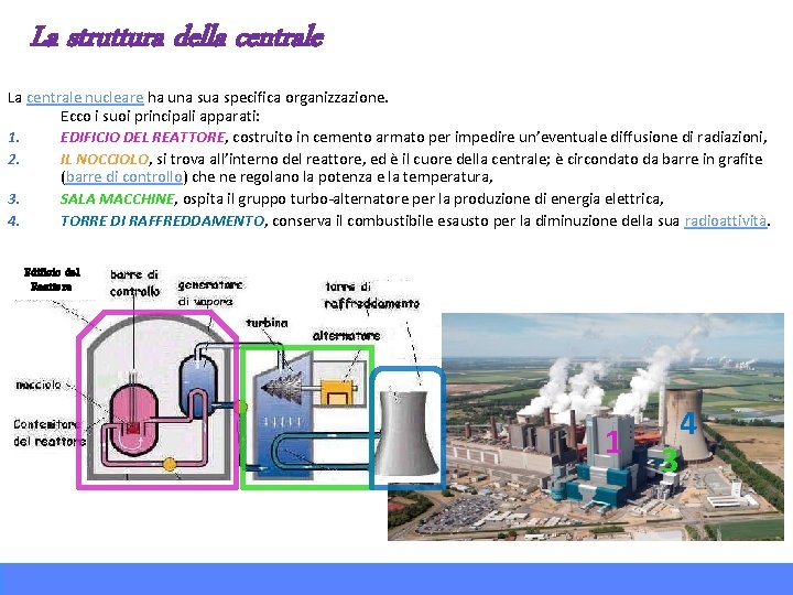 La struttura della centrale La centrale nucleare ha una sua specifica organizzazione. Ecco i