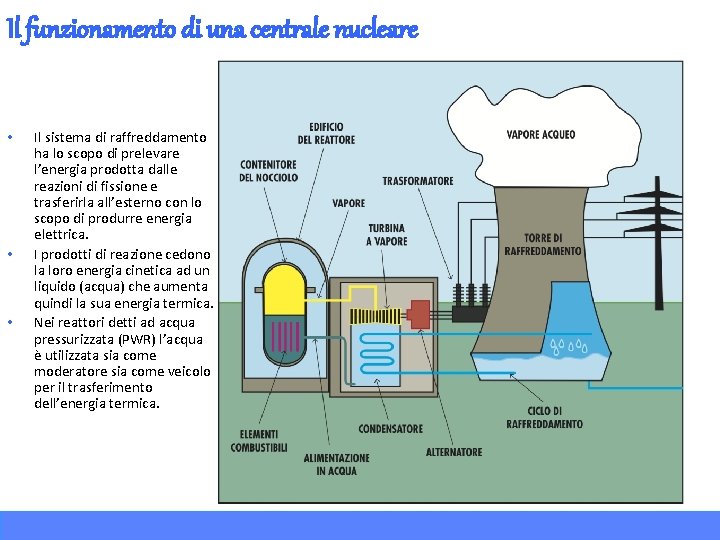 Il funzionamento di una centrale nucleare • • • Il sistema di raffreddamento ha