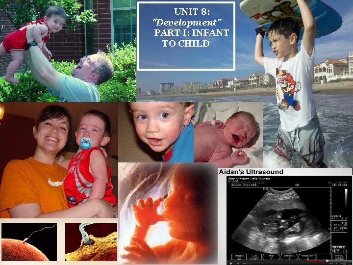 UNIT 8: "Development" PART I: INFANT TO CHILD 