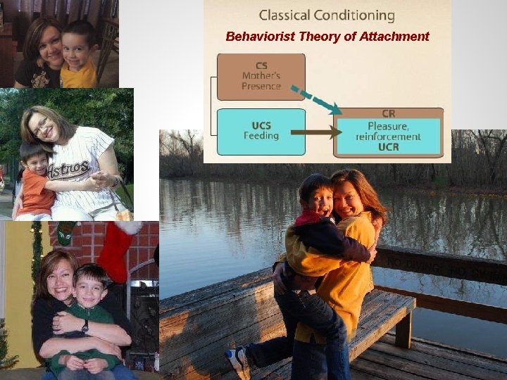 Behaviorist Theory of Attachment 