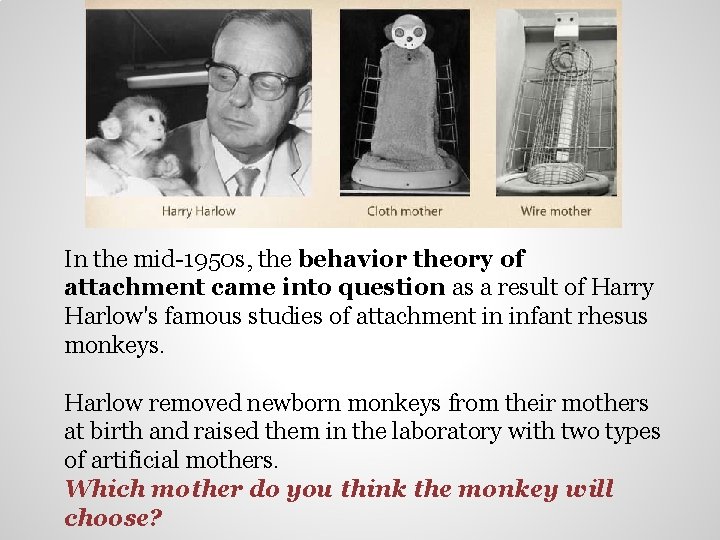 In the mid-1950 s, the behavior theory of attachment came into question as a