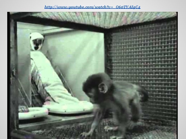 http: //www. youtube. com/watch? v=_O 60 TYAIg. C 4 