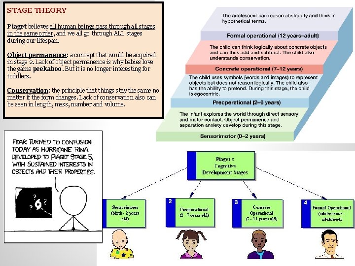 STAGE THEORY Piaget believes all human beings pass through all stages in the same