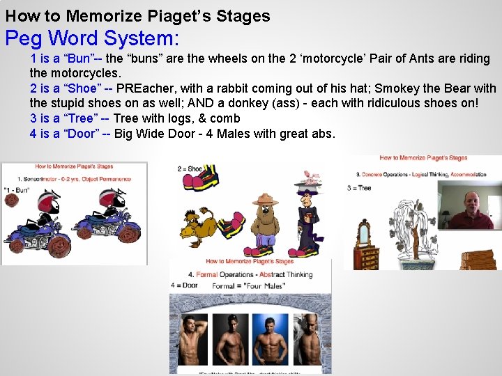 How to Memorize Piaget’s Stages Peg Word System: 1 is a “Bun”-- the “buns”