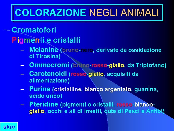 COLORAZIONE NEGLI ANIMALI Cromatofori Pigmenti e cristalli – Melanine (bruno nero, nero derivate da