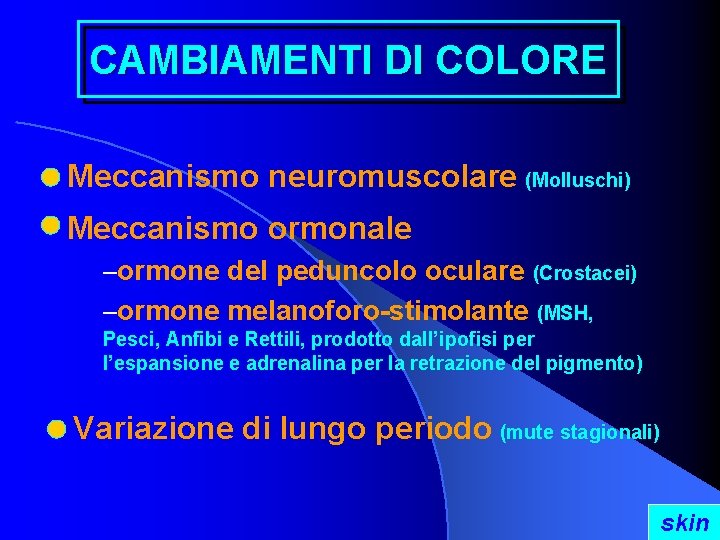 CAMBIAMENTI DI COLORE Meccanismo neuromuscolare (Molluschi) Meccanismo ormonale –ormone del peduncolo oculare (Crostacei) –ormone