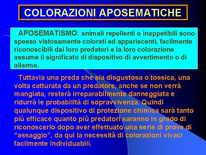 COLORAZIONI APOSEMATICHE APOSEMATISMO: animali repellenti o inappetibili sono spesso vistosamente colorati ed appariscenti, facilmente