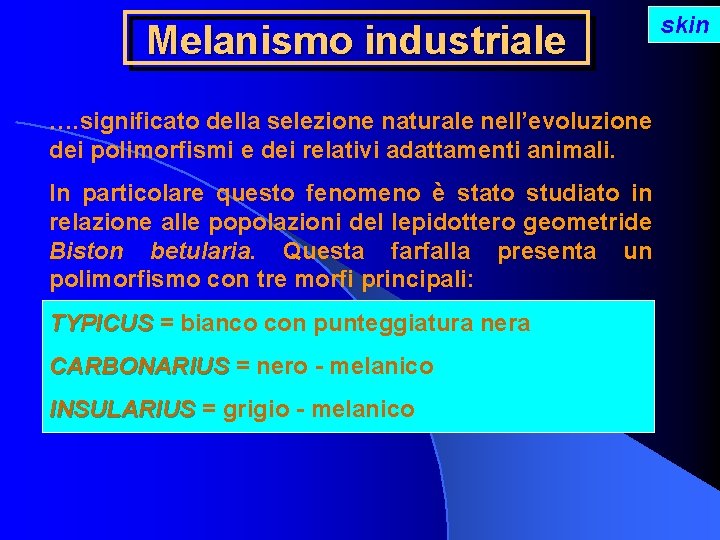 Melanismo industriale …. significato della selezione naturale nell’evoluzione dei polimorfismi e dei relativi adattamenti