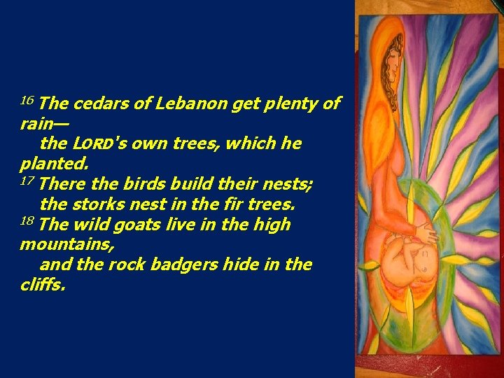 16 The cedars of Lebanon get plenty of rain— the LORD's own trees, which