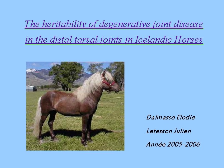 The heritability of degenerative joint disease in the distal tarsal joints in Icelandic Horses