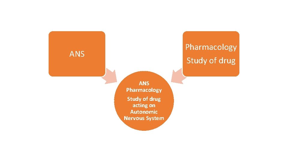 Pharmacology Study of drug ANS Pharmacology Study of drug acting on Autonomic Nervous System