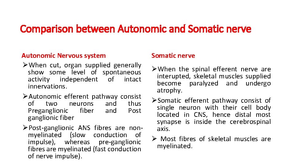 Comparison between Autonomic and Somatic nerve Autonomic Nervous system ØWhen cut, organ supplied generally