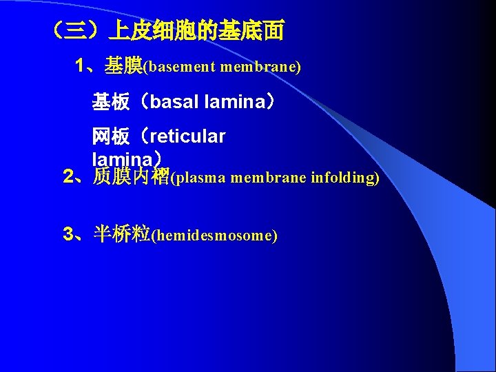 （三）上皮细胞的基底面 1、基膜(basement membrane) 基板（basal lamina） 网板（reticular lamina） 2、质膜内褶(plasma membrane infolding) 3、半桥粒(hemidesmosome) 