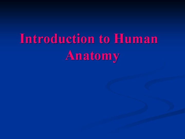 Introduction to Human Anatomy 