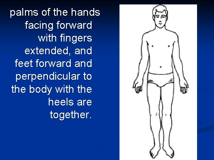 palms of the hands facing forward with fingers extended, and feet forward and perpendicular