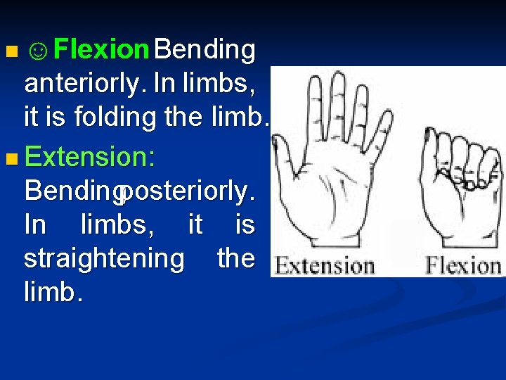 n ☺Flexion Bending anteriorly. In limbs, it is folding the limb. n Extension: Bendingposteriorly.