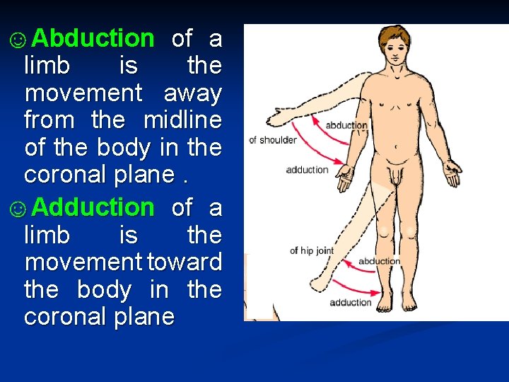 ☺Abduction of a limb is the movement away from the midline of the body