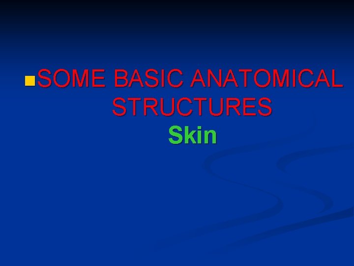 n SOME BASIC ANATOMICAL STRUCTURES Skin 