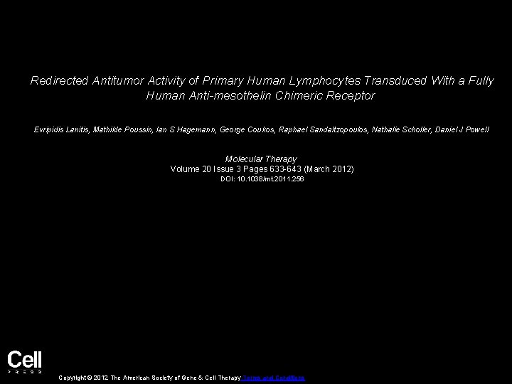 Redirected Antitumor Activity of Primary Human Lymphocytes Transduced With a Fully Human Anti-mesothelin Chimeric