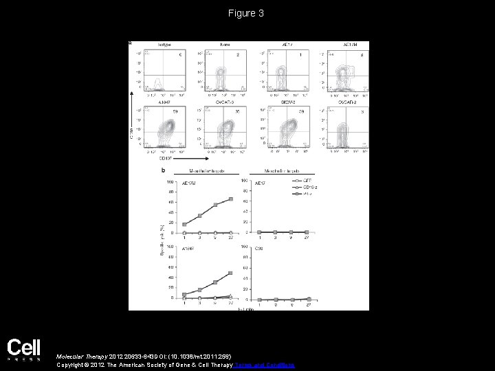 Figure 3 Molecular Therapy 2012 20633 -643 DOI: (10. 1038/mt. 2011. 256) Copyright ©