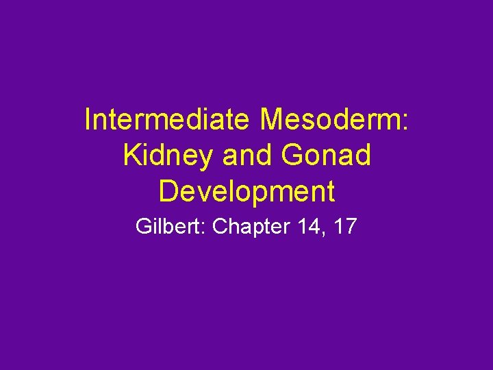 Intermediate Mesoderm: Kidney and Gonad Development Gilbert: Chapter 14, 17 